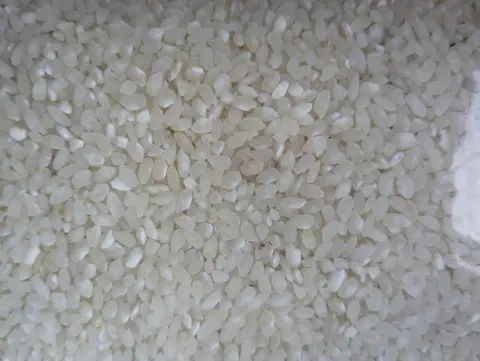 Arroz para exportação