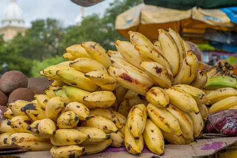 Banana para exportação