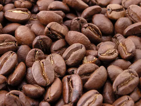 Café para exportação