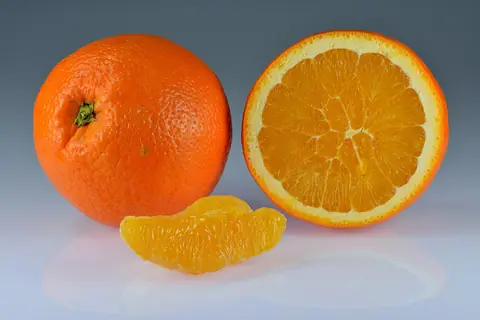 Laranja para exportação