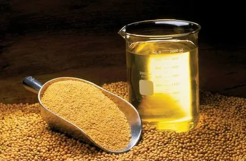 Óleo de soja para exportação