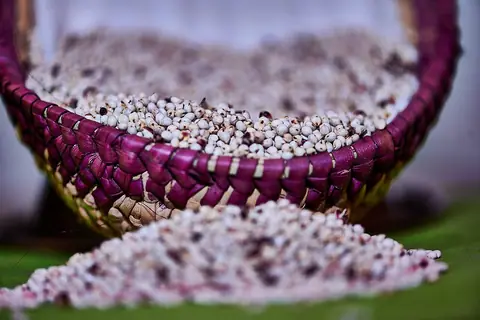 Sorgo para exportação